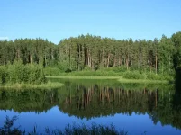 Озеро.webp