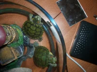 CIMG4352.webp