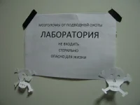 экспертиза 2.webp