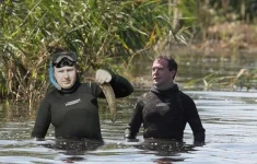я и медвед подвохи.webp