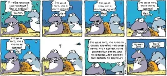 Женсчина.webp