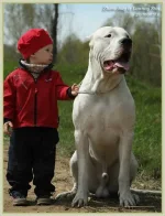 Zhemchug10.webp