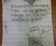 iyyyyyy.webp
