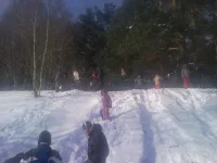 SNC00427.webp