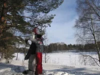 11.webp