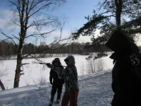 12.webp