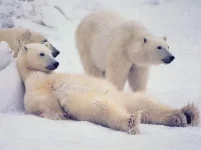 отдых на снежном пляже.webp