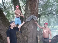 брек.webp
