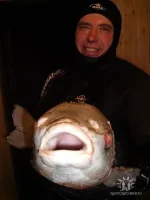 марк2.webp