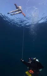 буй.webp буй.webp