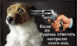 184925e27d08207271547c36f7266407af8e.webp