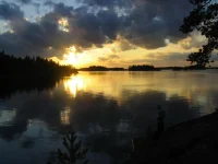 IMG_2925.webp