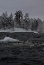 IMGP2964.webp