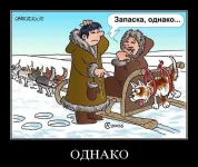 запаска.webp