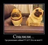 kartinki_s_podpisjami_90_foto_27.webp