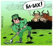 podborka_553_31.webp