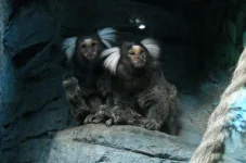 DSCN3507.webp