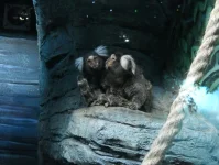 DSCN3505.webp