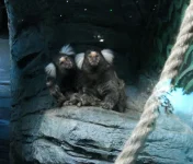 DSCN3506.webp
