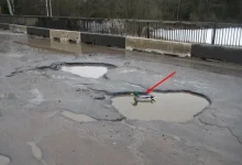 утка.webp