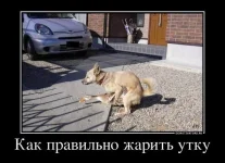 1332327830_62788833_kak-pravilno-zharit-utku.webp