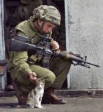 soldier-with-kitten.webp