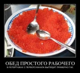 1332008047_s3img_12398122_49960_19.webp