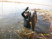 100_9862.webp