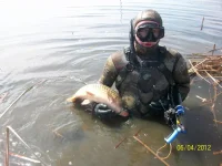 100_9863.webp