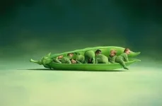 горошки.webp