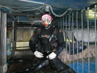 DSCN1327.webp