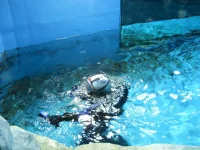 DSCN1325.webp