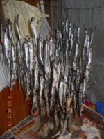 DSCN13141111111.webp