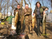 100_9915.webp