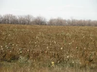 PA151129.webp