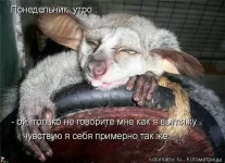 ponedelnik_56.webp