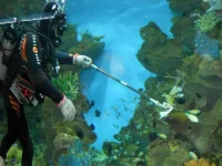 DSCN1340.webp