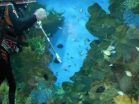 DSCN1343.webp