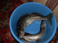 2012-04-04_0005.webp