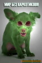 никотиновая зависимость.webp