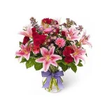 100_img1.webp