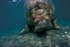 00006f5c_medium.webp