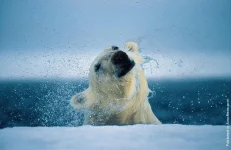 00006f61_medium.webp