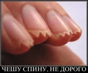 65829216.webp