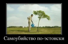 x_4f780c1e.webp