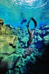 freediving_26-04-12_2.jpg