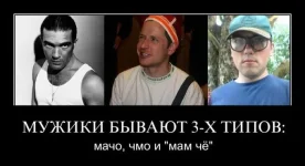 Мачо.webp