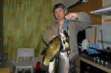 SAM_1660.webp