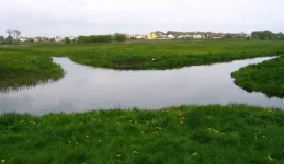2144.webp