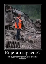 lom2.webp